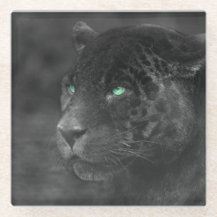 Black Jaguars Emerald Gaze Glass Coaster