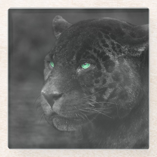 Black Jaguars Emerald Gaze Glass Coaster (Front)