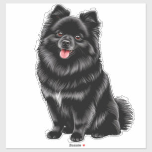 Black Japanese Spitz