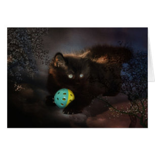 Black Jellybean