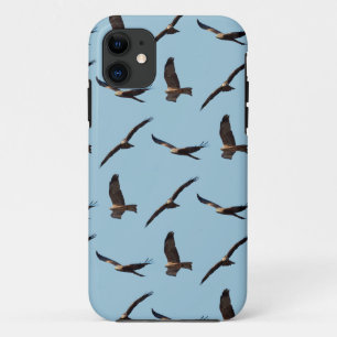 Black Kite Frenzy iPhone 5 Case (Light Blue)