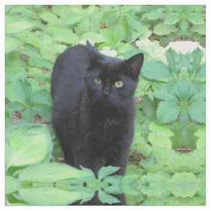 Black Kitten Cat in Garden Fabric