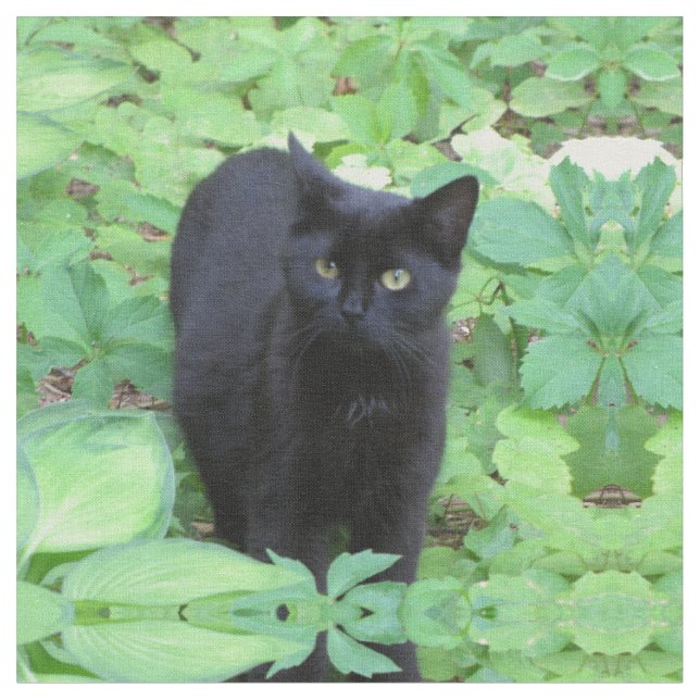 Black Kitten Cat in Garden Fabric (Close Up)