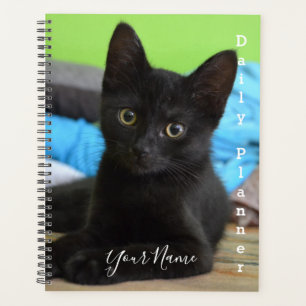 Black Kitten - Daily Planner- HAMbWG Planner