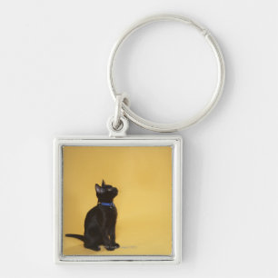 Black kitten in collar key ring