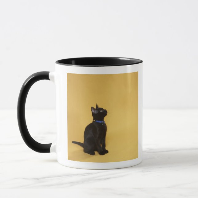 Black kitten in collar mug (Left)