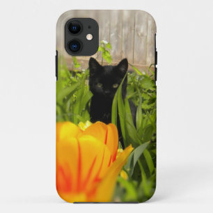 Black Kitten in the Garden iPhone 5 Case