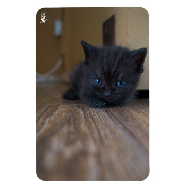 Black Kitten Magnet (Vertical)