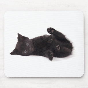 black kitten mouse pad