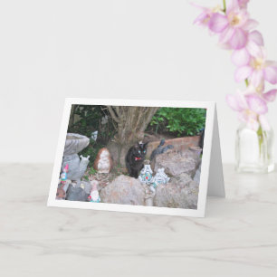 Black Kitten on Rockery Card
