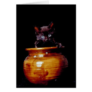 Black Kitten popping out of Ceramic Jar Card