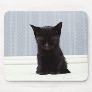 BLACK KITTEN SLEEPING MOUSE PAD
