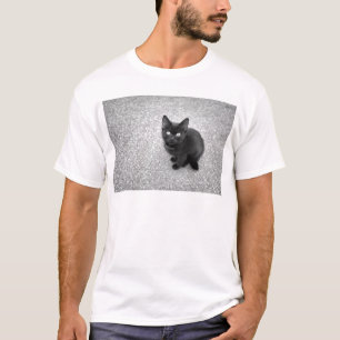 Black Kitten T-Shirt