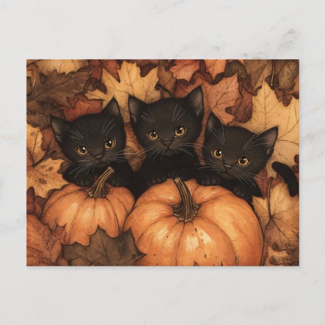 Black Kitten Trio Illustration Postcard (Front)