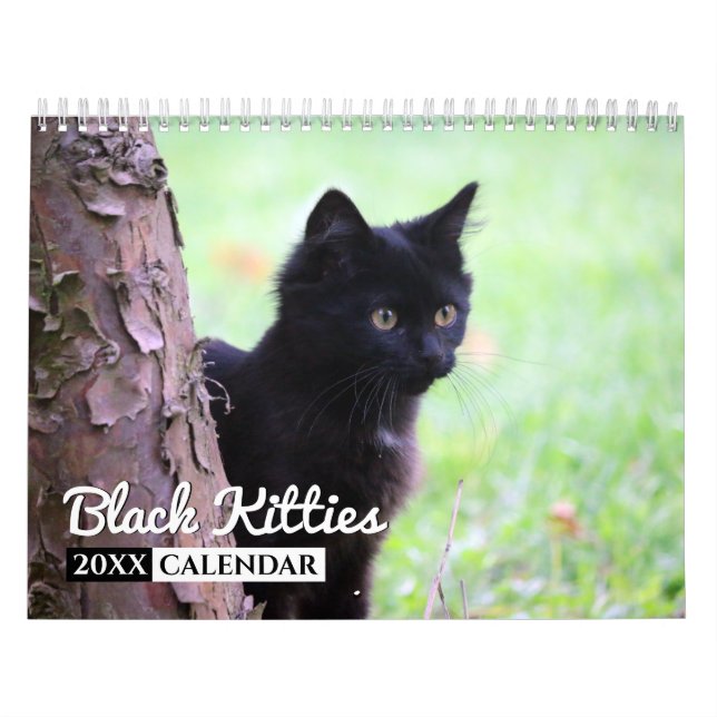 Black Kitties Photo Wall Calendar (Cover)