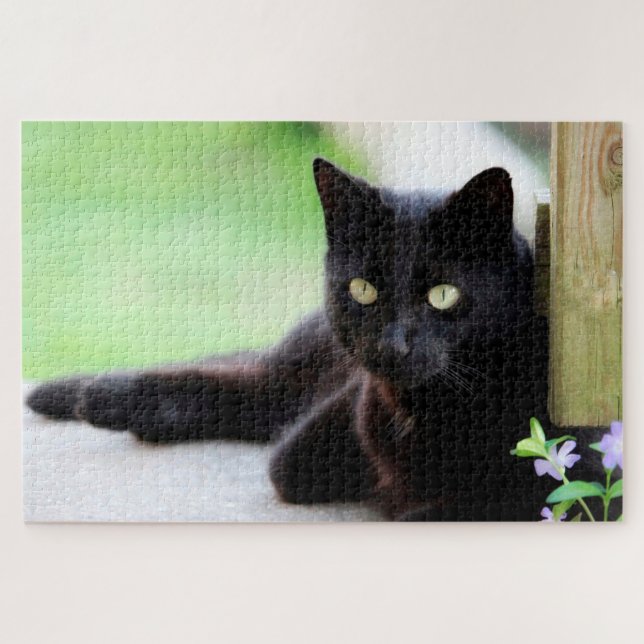 Black Kitty Cat Cute Fun Animal Jigsaw Puzzle (Horizontal)