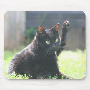 Black Kitty Cat Mouse Pad