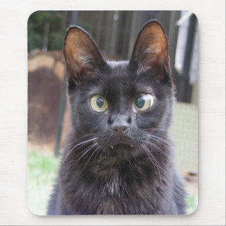 Black Kitty Cat Mouse Pad
