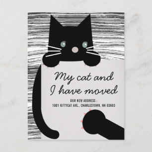 Black Kitty Cat White Moving Announcement Postcard