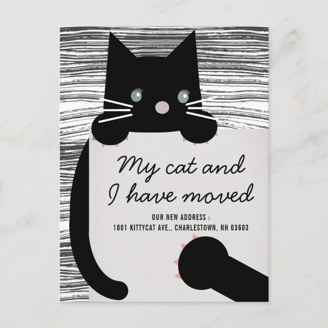 Black Kitty Cat White Moving Announcement Postcard (Front)
