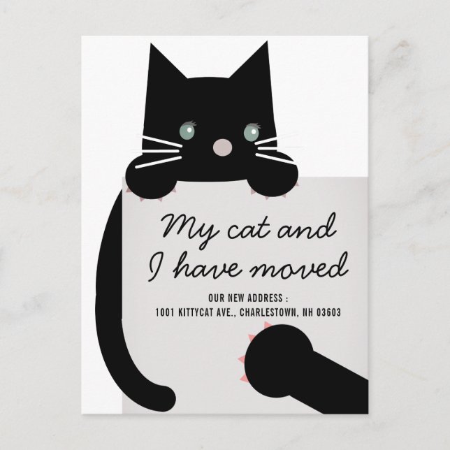 Black Kitty Cat White Moving Announcement Postcard (Front)