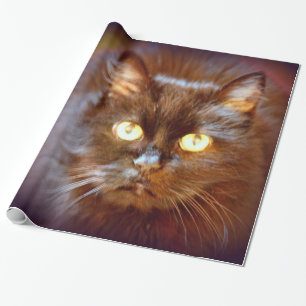 black kittycat wrapping paper