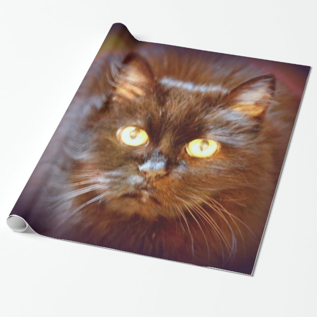 black kittycat wrapping paper (Unrolled)