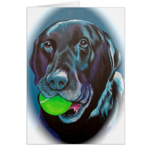 Black Lab