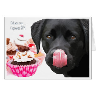 Black Lab All Occasion Card - Cupcake Cards