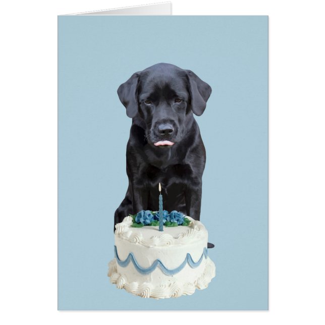 Black Lab All Occasion Card - Dog Cake Birthday (Front)