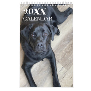 Black Lab Calendar Labrador Retriever 2026
