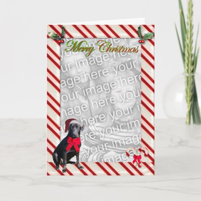 Black Lab Candy Cane Template Card (Front)