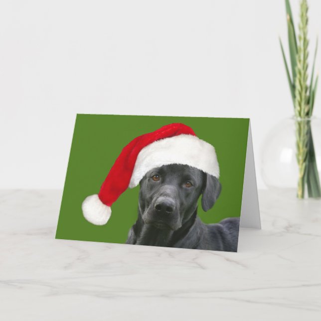 Black lab Christmas Holiday Card (Front)