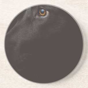black lab coaster