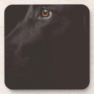 black lab coaster