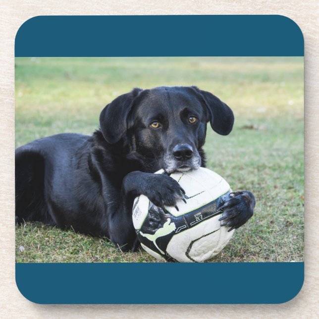 Black lab coasters.  Set of six. Coaster (Front)