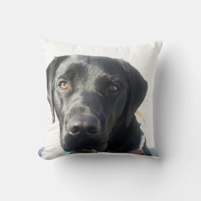 Black Lab Cushion (Front)