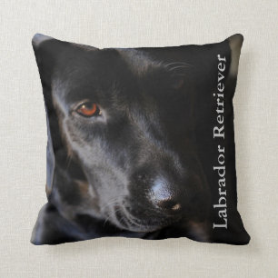 Black Lab Dog Cushion