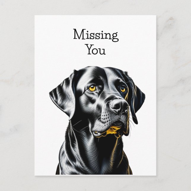 Black Lab Dog Lovers | Missing You Postcard (Front)