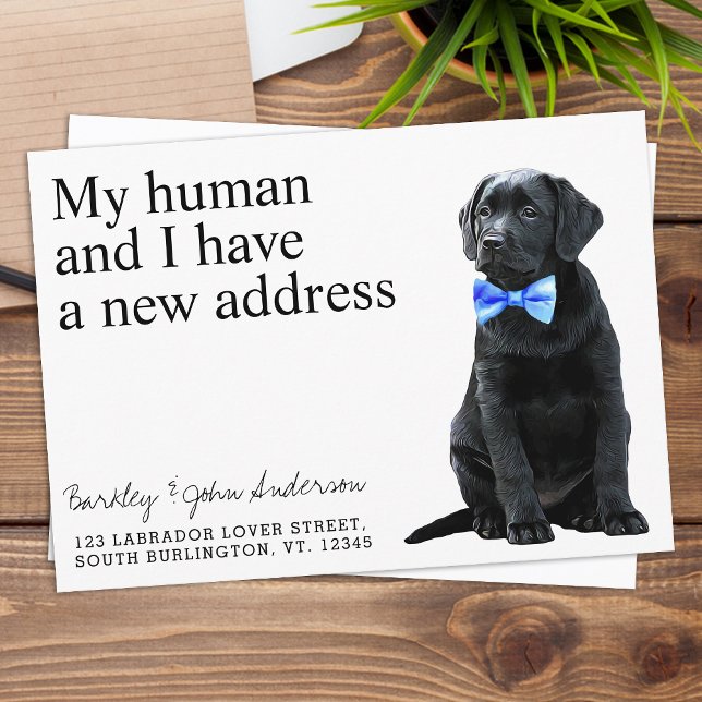 Black Lab Dog Moving Announcement (Creator Uploaded)