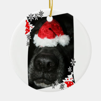 Black lab dog nose with santa hat photograph ceramic tree decoration