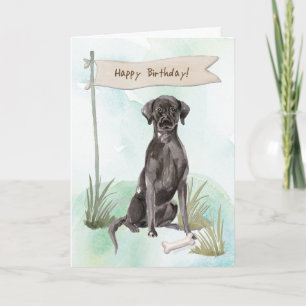 Black Lab Dog Under Birthday Sign Card