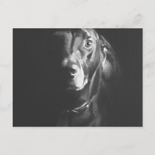 Black Lab Dog Watercolor by Paul Jackson Postcard (Front)