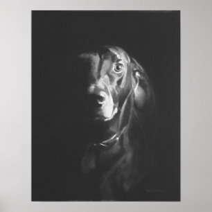Black Lab Dog Watercolor by Paul Jackson Poster