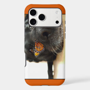 BLack Lab Dog With Butterfly