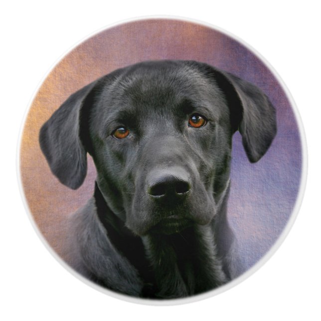 Black lab face ceramic knob (Front)