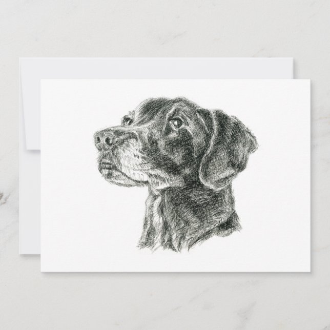 Black Lab Flat Card (Front)