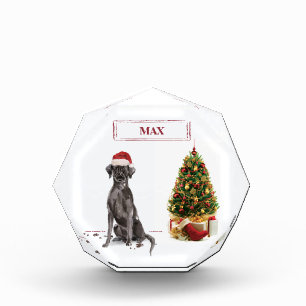 Black Lab Funny Christmas Dog and Tree Photo Block