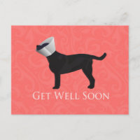 Black Lab Get Well Soon Design