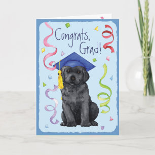 Black Lab Graduate Card